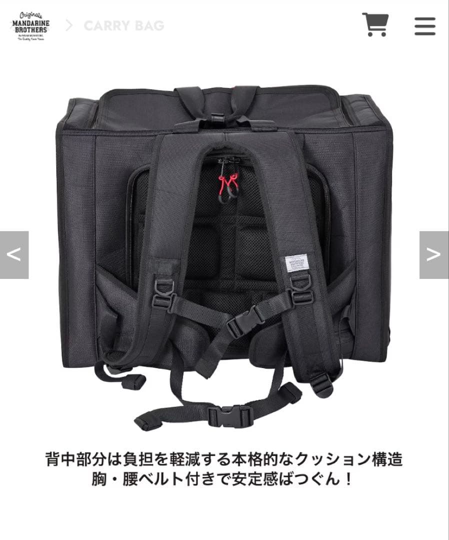 マンダリンブラザーズ ブリクストンキャリーバックパック ワイド L