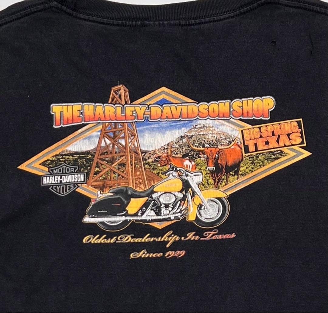 トップス HARLEY DAVIDSON OLD ENGLISH LOGO FLAME T