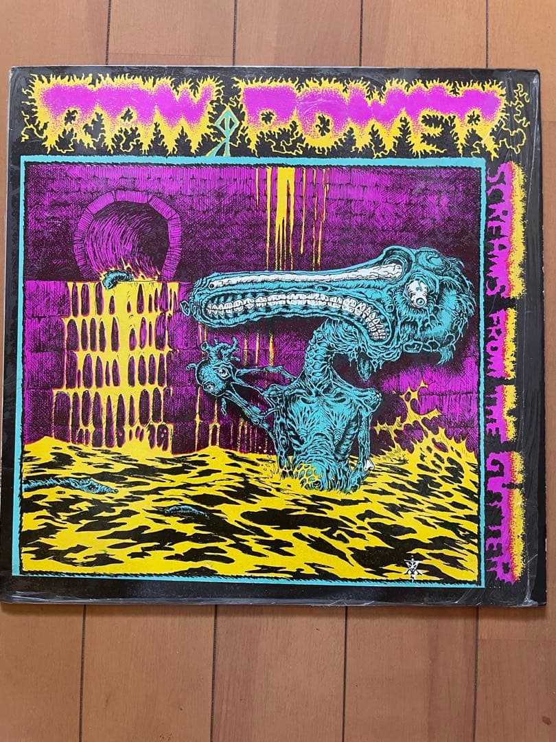 RAW POWER Scream From The Guitter ハードコア