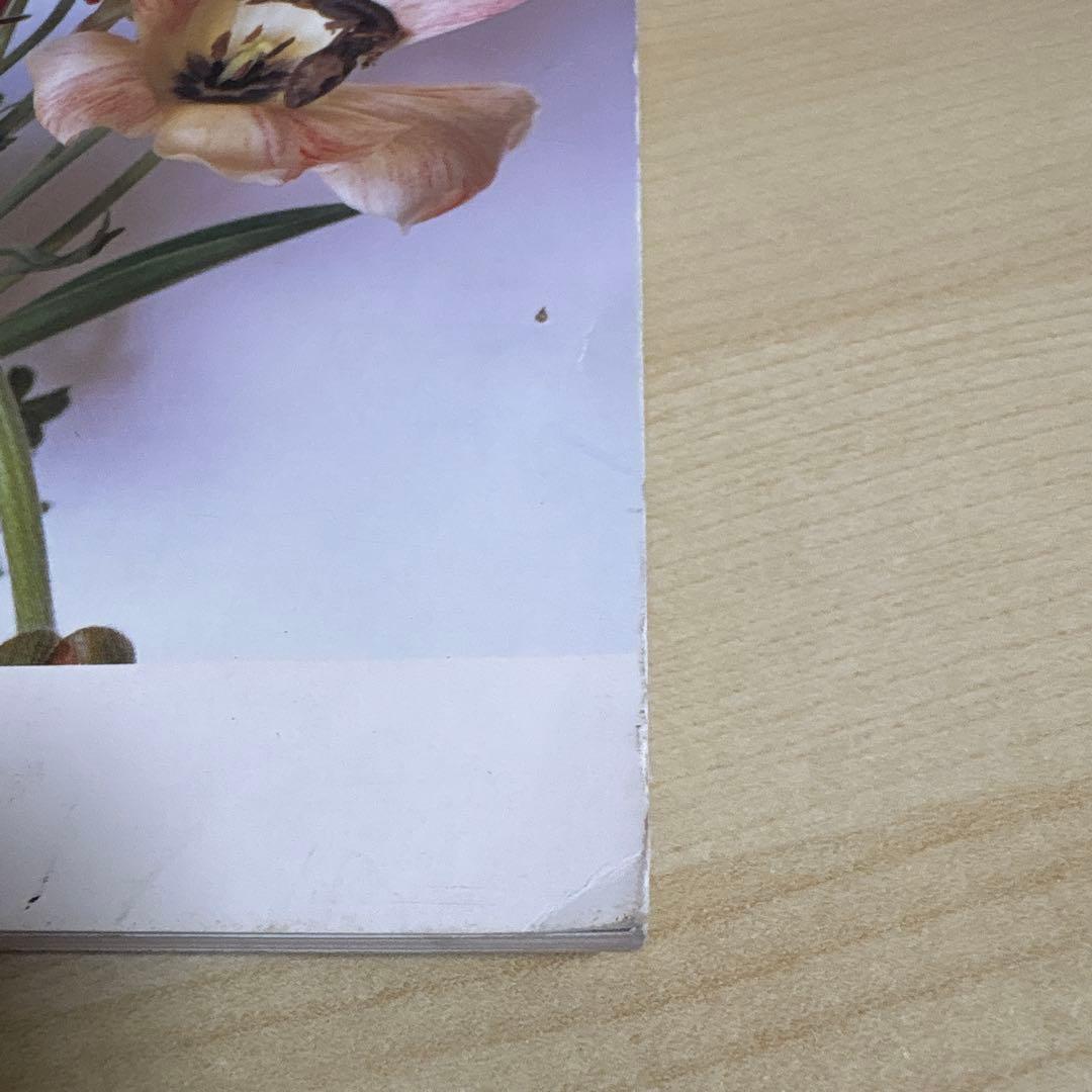 荒木経惟　FLOWERS