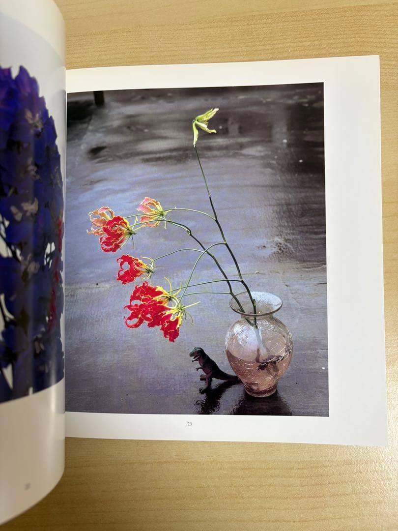 荒木経惟　FLOWERS