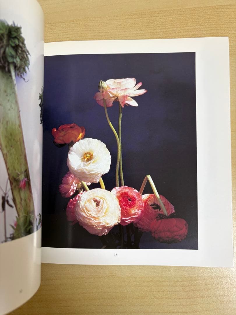 荒木経惟　FLOWERS