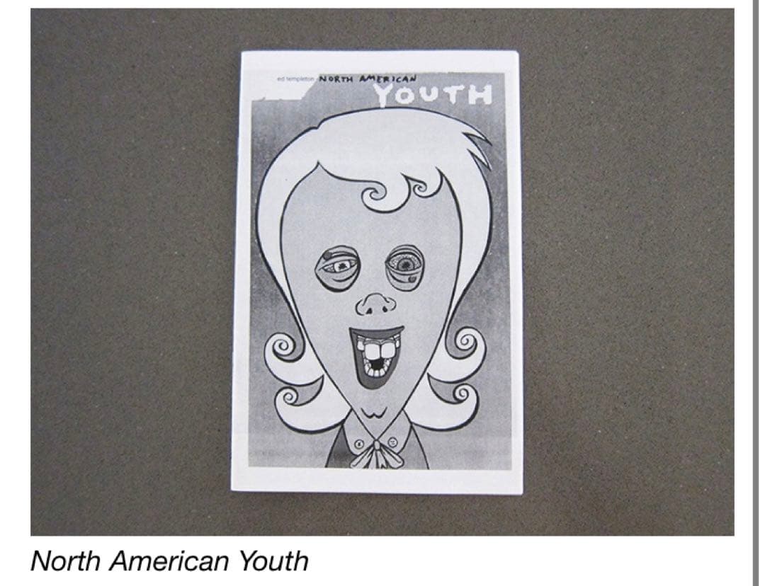 Deanna Templeton Ed Templeton ZINE まとめ売り