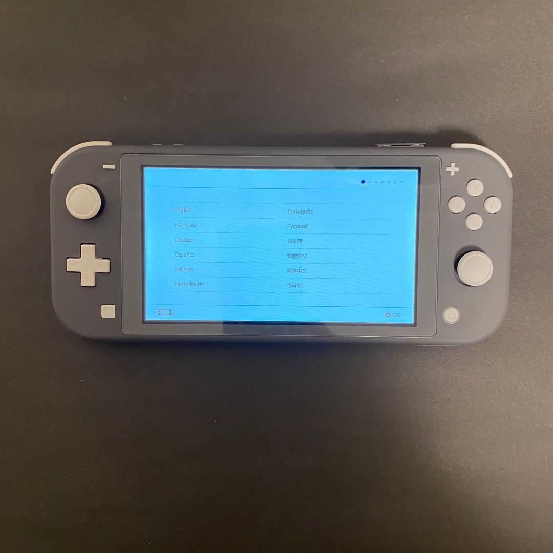 Nintendo Switch Lite グレー ゲームソフト2本付き