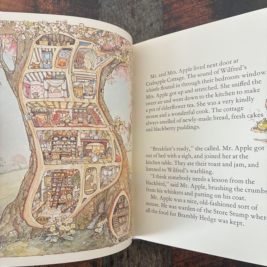 【目立った傷や汚れなし】SPRING STORY　ジル・バークレム　洋書　絵本