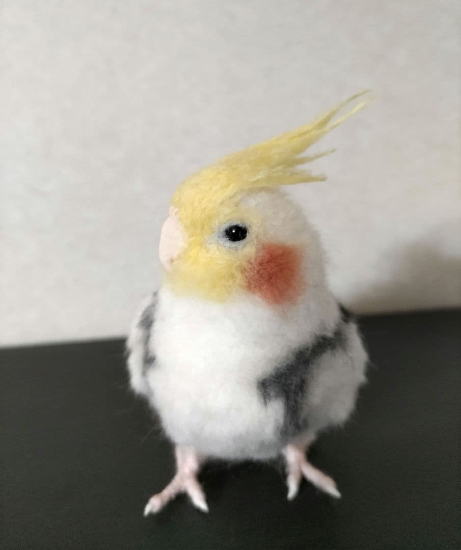羊毛フェルト オカメインコ パイド
