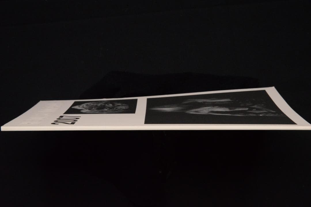 【HEDI SLIMANE 2007 】新品未読品・美本　★大幅に値下げしました