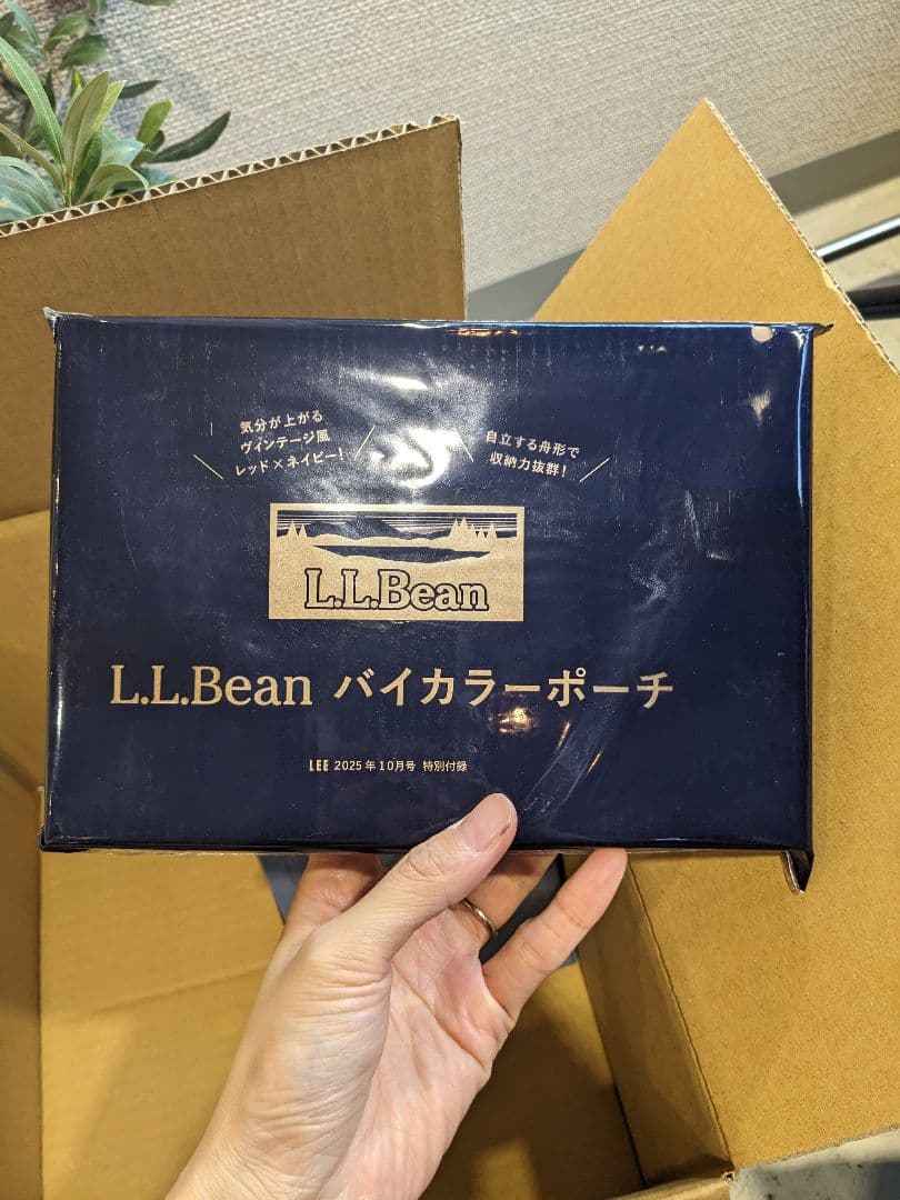 【未開封】付録18点セット　ハローキティ　InRed　Sweet　LEE