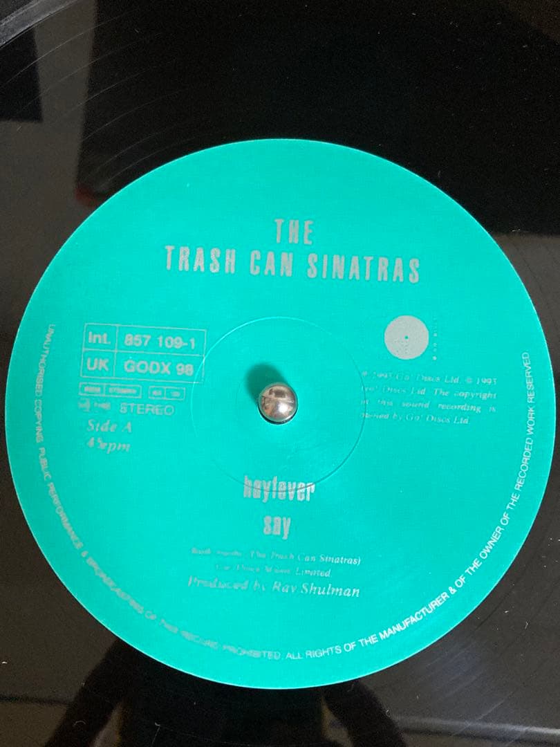 洋楽 The Trash Can Sinatras / Hayfever 12\"