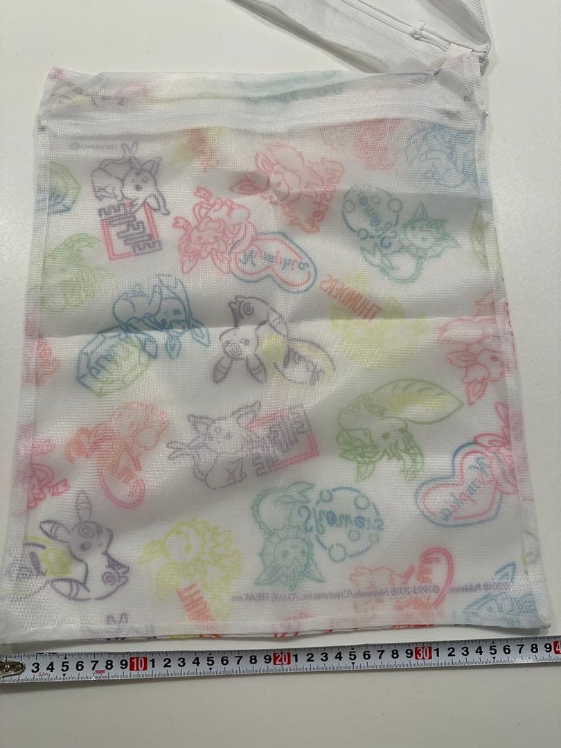 イッツデモ　ポケモン　ブイズ集合　洗濯ネット　2点セット