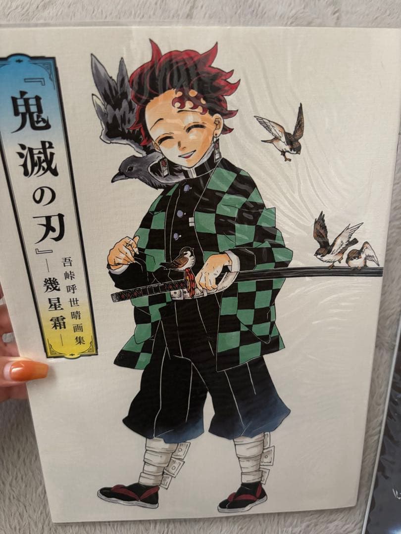 鬼滅の刃 ファンブック 原画集 全集中展 パンフレット 小説 セット