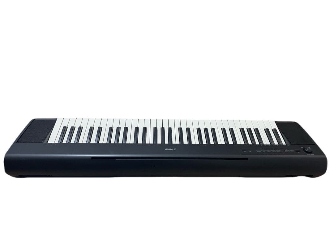 YAMAHA piaggero NP-12B 純正ケース&電源アダプター付
