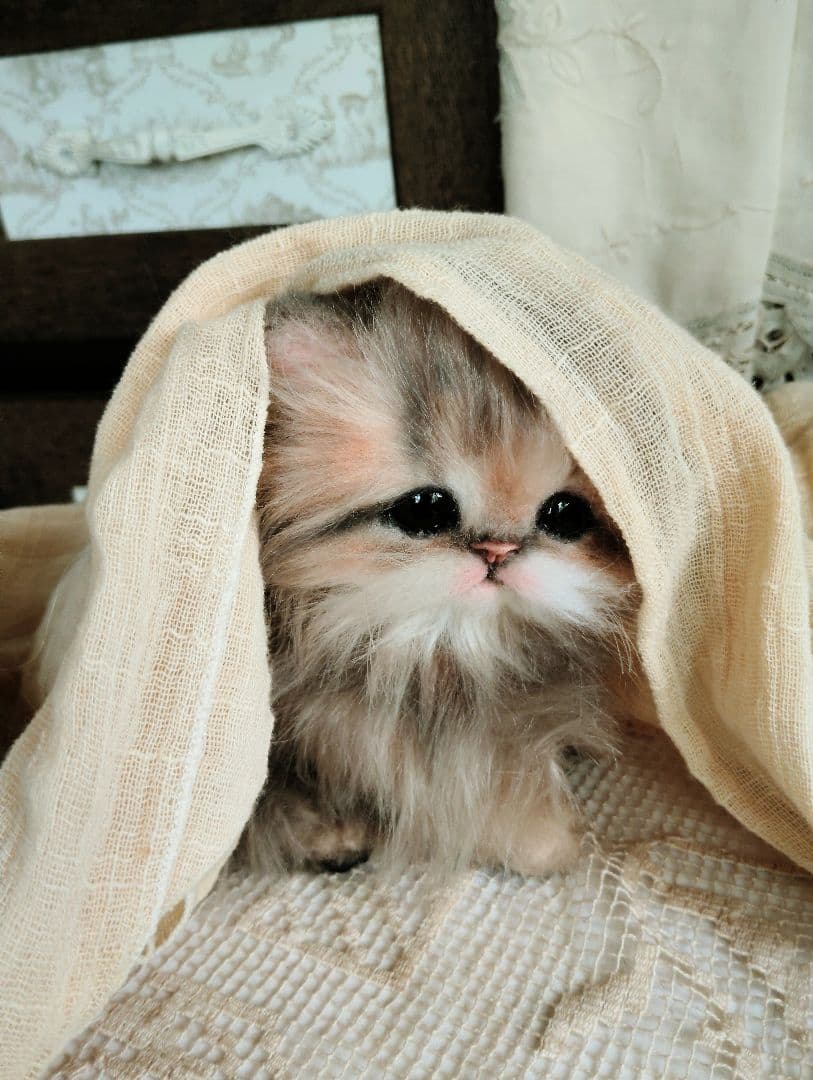 チンチラゴールデン♡子猫のプリンちゃん♡アートドール♡ぬいぐるみ♡
