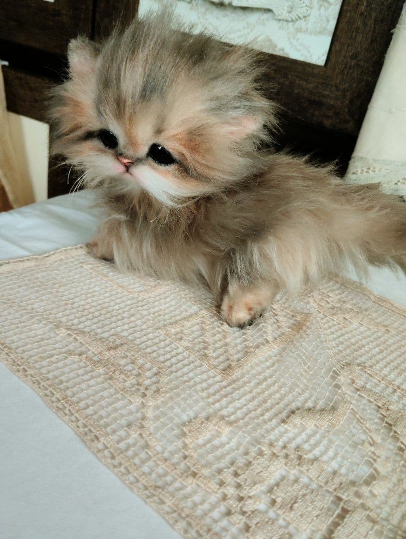 チンチラゴールデン♡子猫のプリンちゃん♡アートドール♡ぬいぐるみ♡