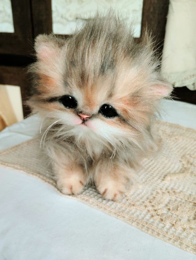 チンチラゴールデン♡子猫のプリンちゃん♡アートドール♡ぬいぐるみ♡