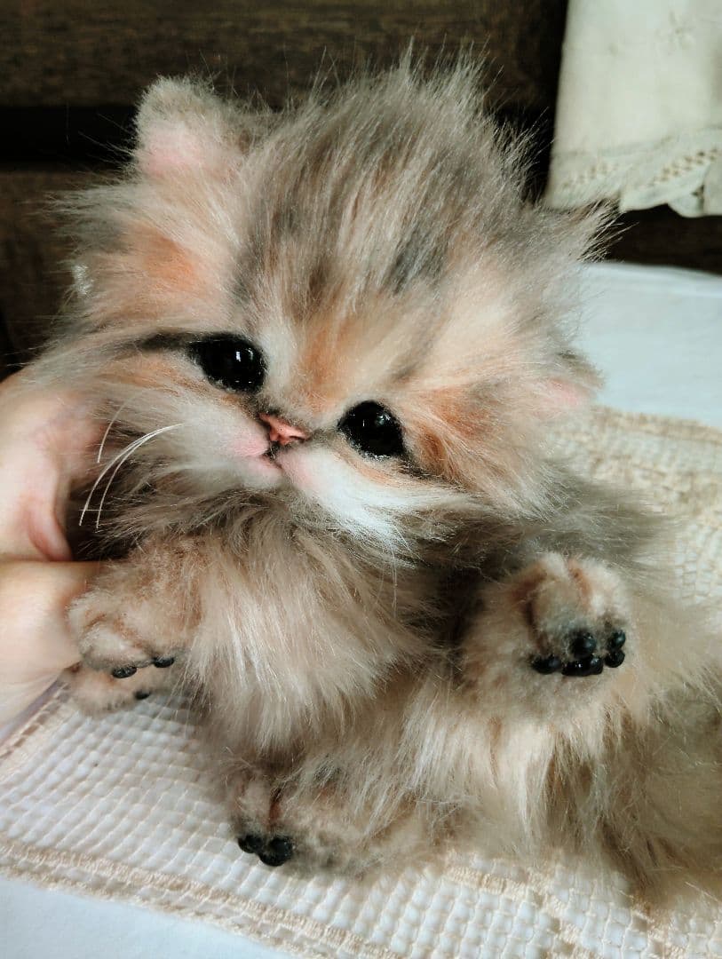 チンチラゴールデン♡子猫のプリンちゃん♡アートドール♡ぬいぐるみ♡