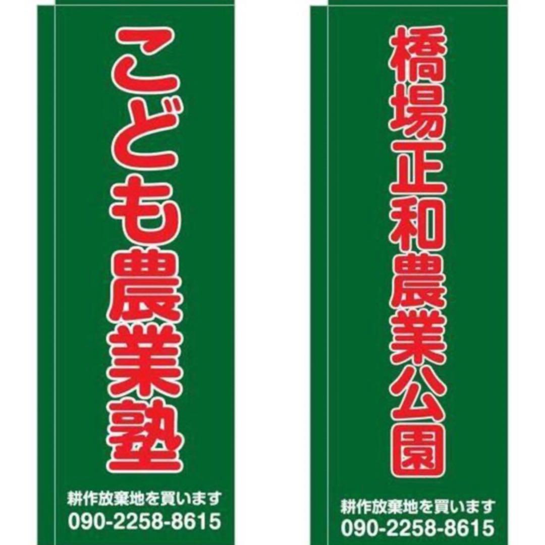 花乙女コレクション【花岡寿一　窓辺のフルート奏者】購入金額より60％お値引き！！