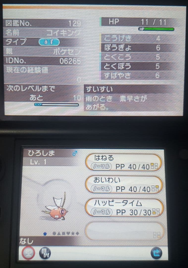Y 配布あり ポケモン 3DS