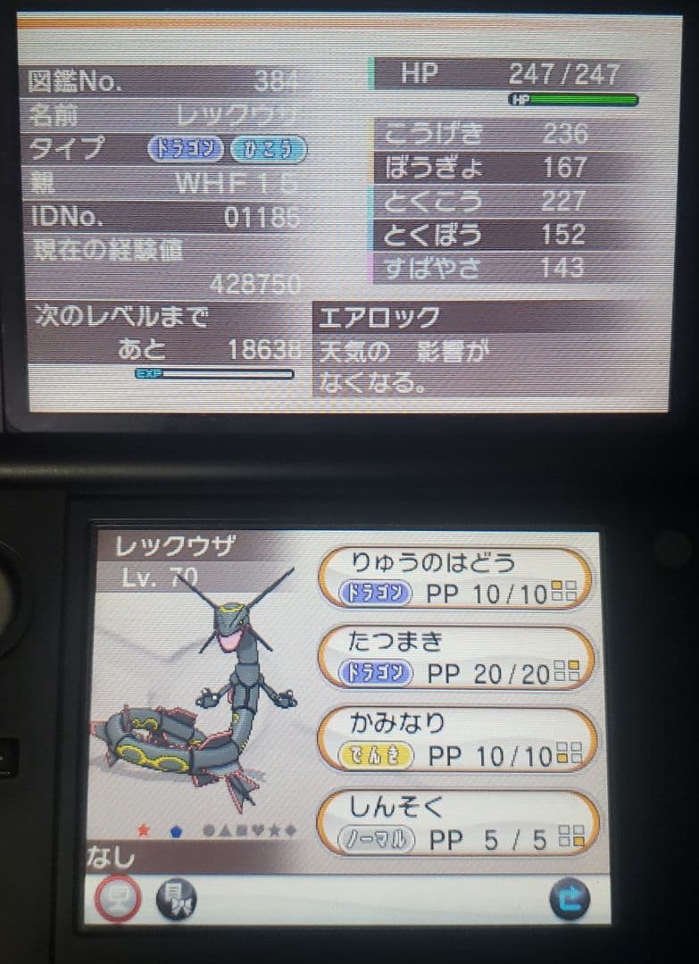 Y 配布あり ポケモン 3DS