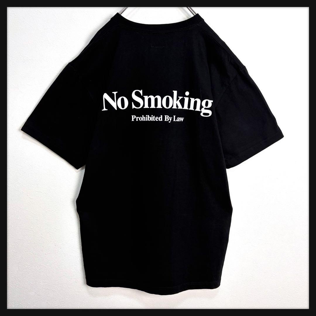 【美品】FR2 ノースモーキング Tシャツ 絵画 バックプリント 人気デザイン