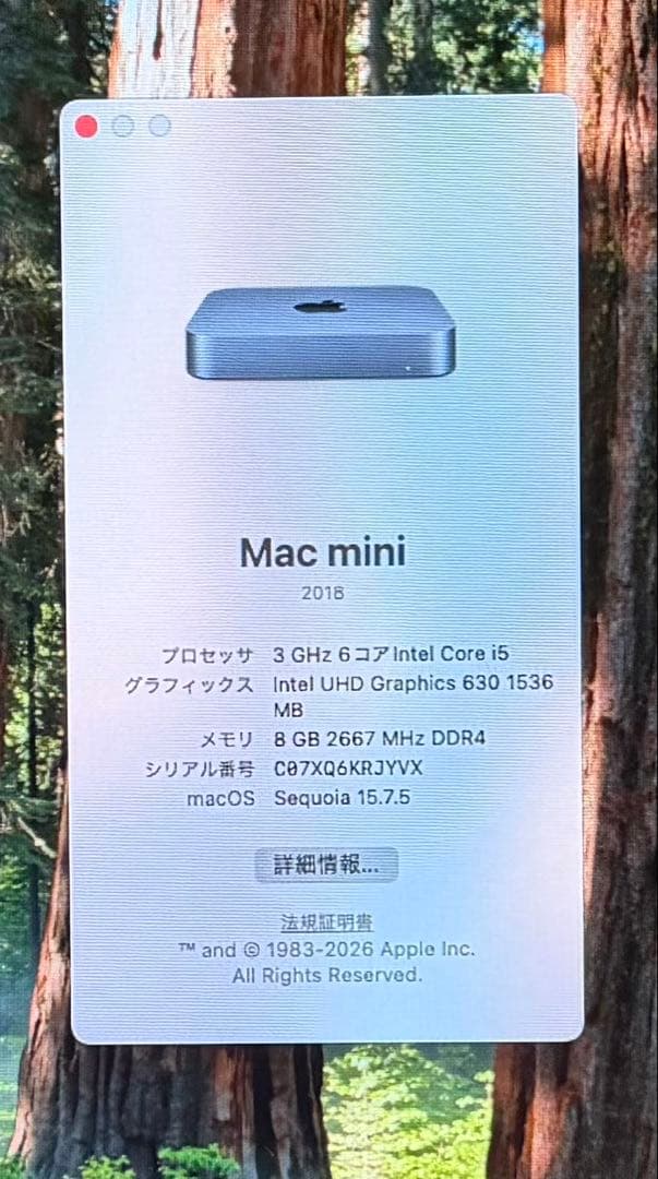 Macデスクトップ Mac mini 2018 i5/8GB/256GB