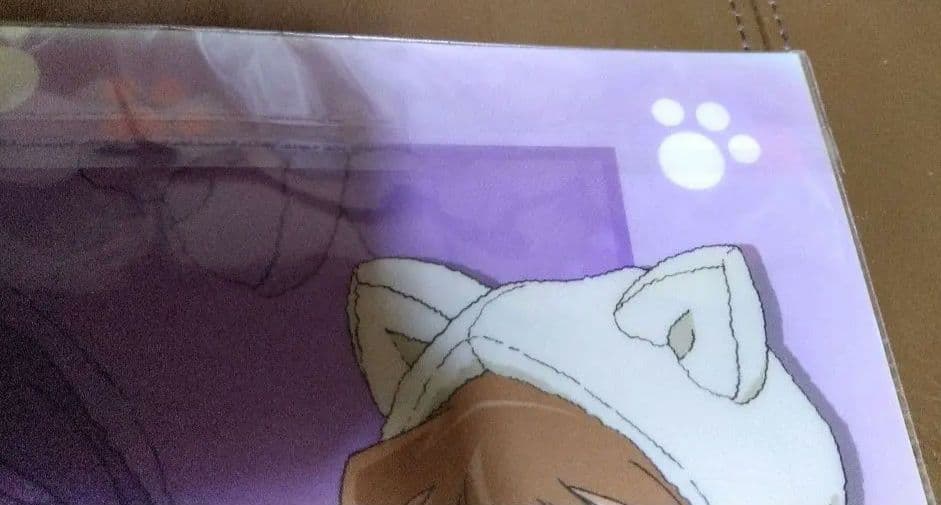 クリアファイル/◎名探偵コナン アニマルパーカー