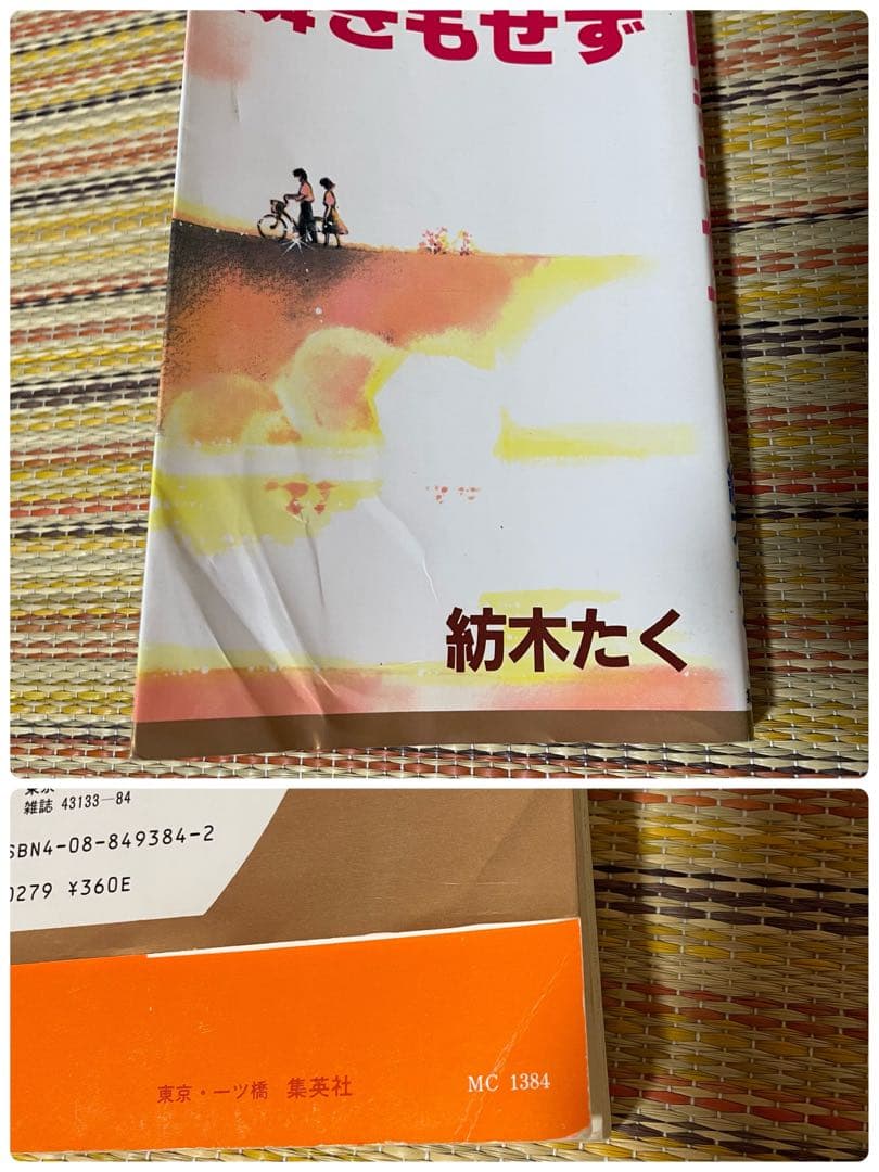 紡木たく ホットロード 瞬きもせず 作品集