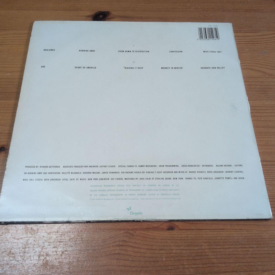 ザ・カラーフィールド LP+ミニLP 2枚セット テリー・ホール ネオアコ