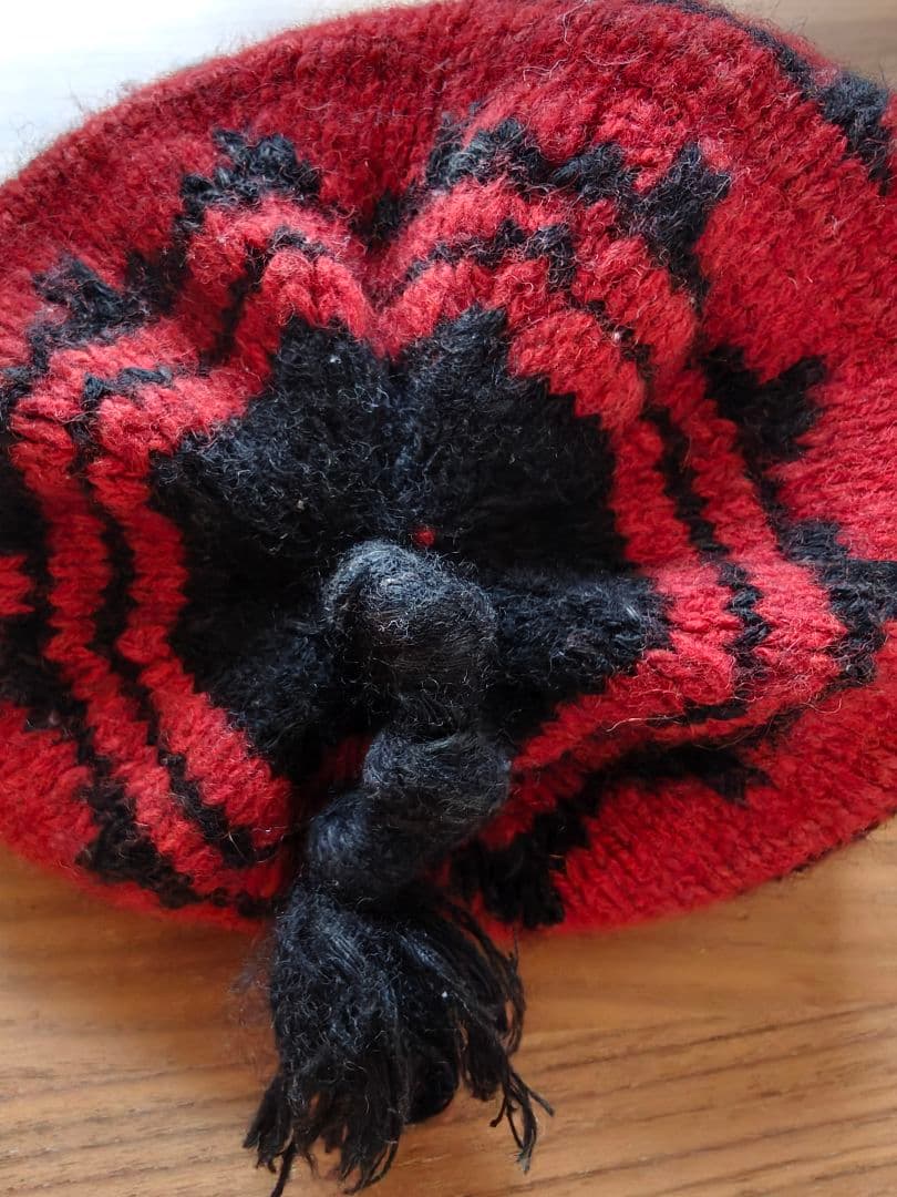 POLO RALPH LAUREN 耳当て ニット帽　Hand Knit