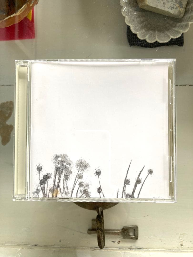 ◾️GASBOOK009 INSECT｜映像と音楽が交差するアートセット【限定盤】