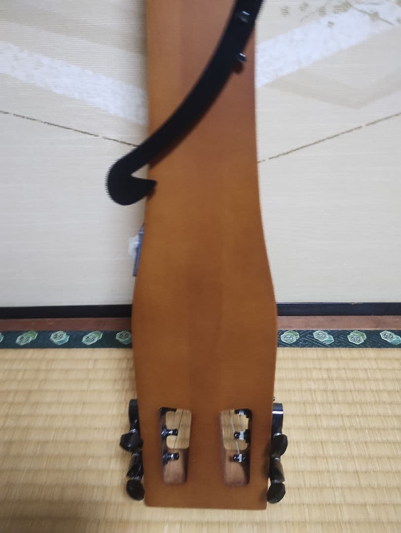 【美品】Anygig エニーギグ トラベルギター エレキギター