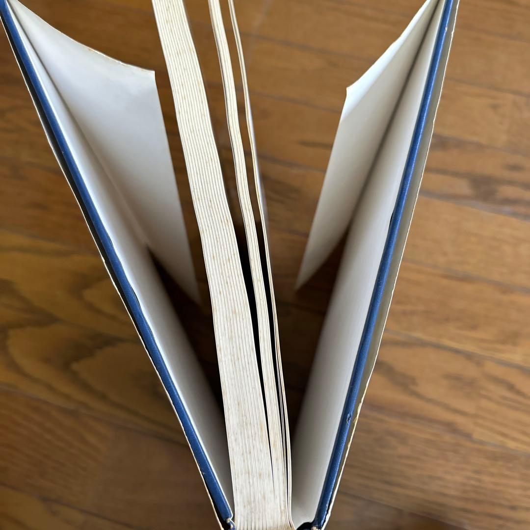 Richard Diebenkorn 美術書