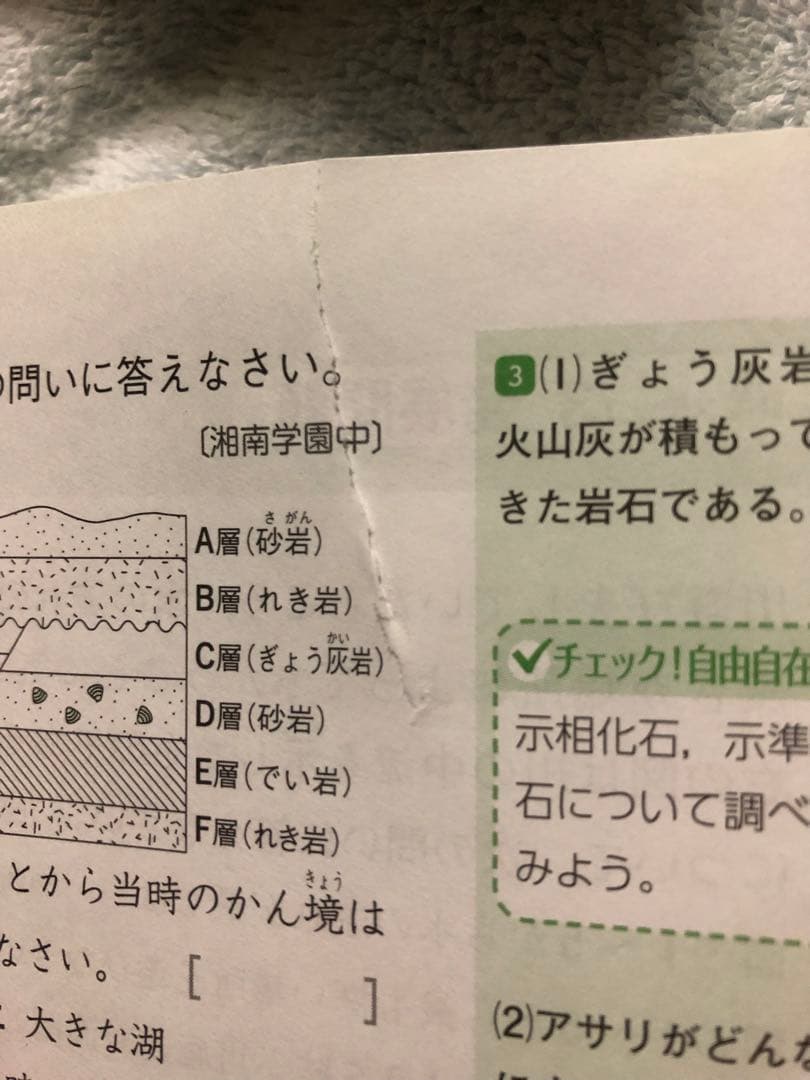 エコ割有！小学高学年 自由自在＆自由自在問題集 4教科 8冊セット 中学受験