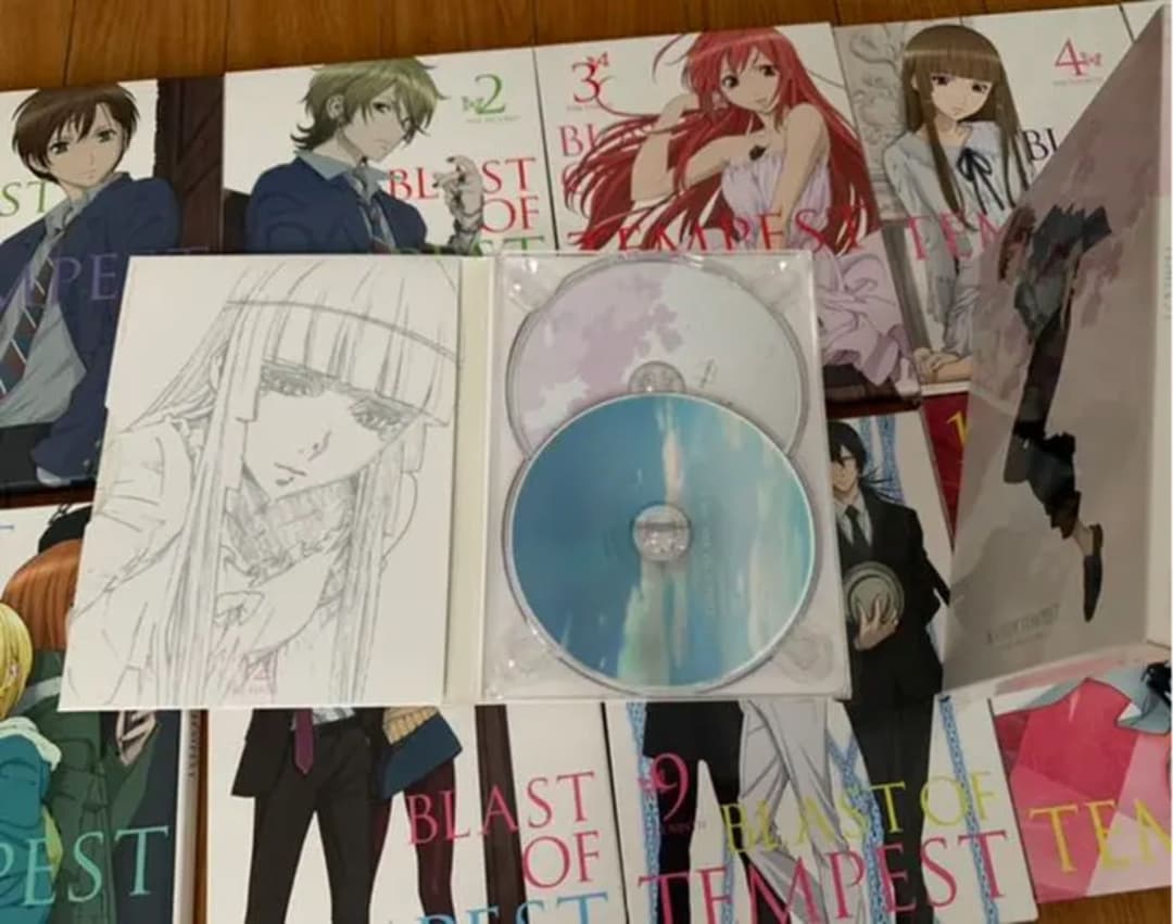 【完全生産限定版】絶園のテンペスト DVD 1〜12 全巻セット 美品