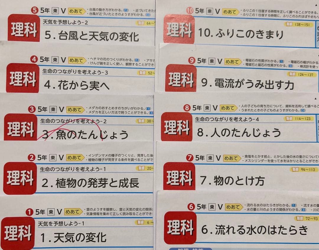 【2025年度版】カラーテスト　理科　小5 光文書院　　Vテスト　東京書籍