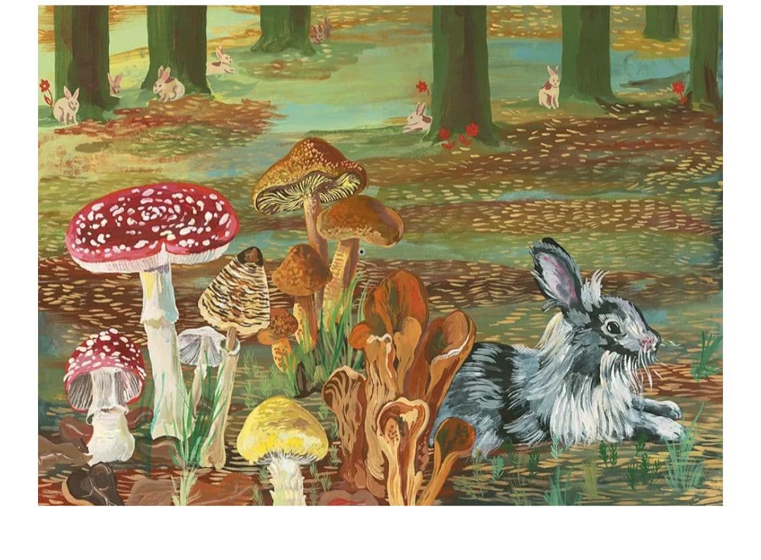 定価7500円　入手困難　新品　画集　ナタリーレテ