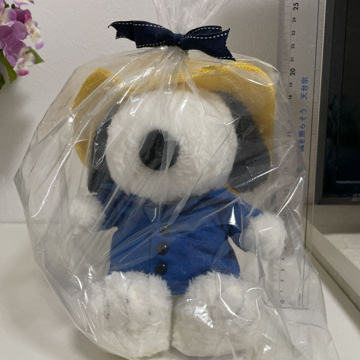 ぬいぐるみ限定品サイズM