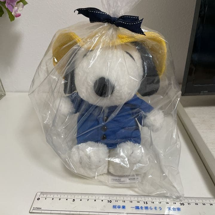ぬいぐるみ限定品サイズM