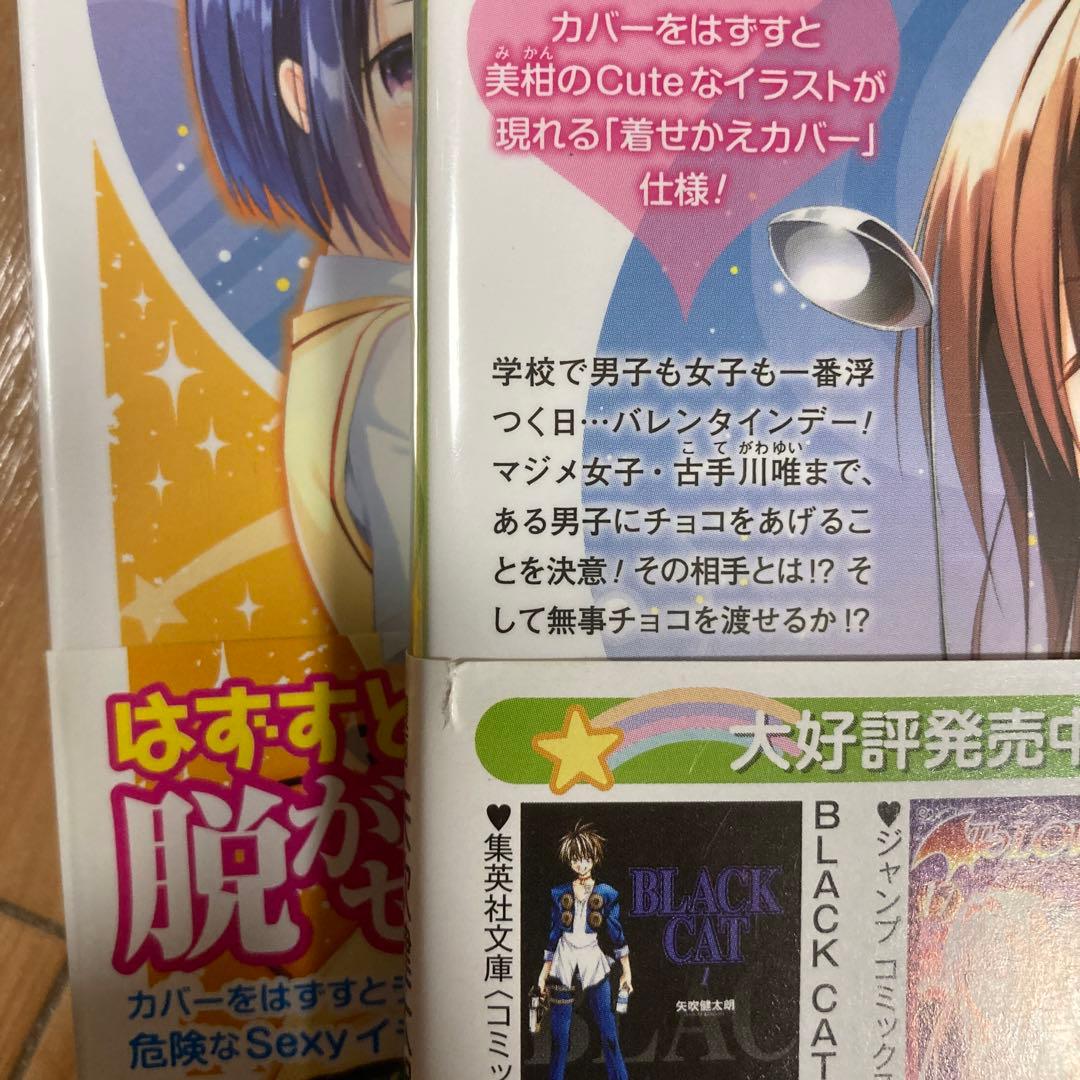 ToLOVEる文庫版　さこ