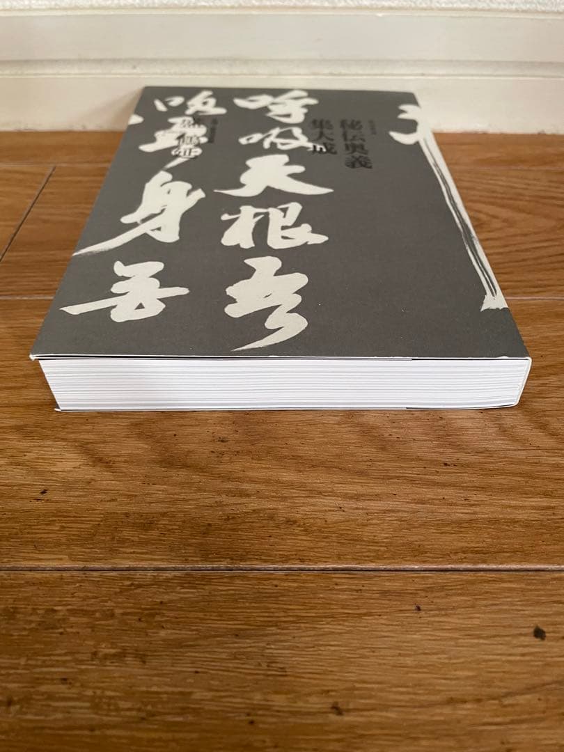 気功革命 秘伝奥義 集大成: 著者自ら出演・解説するⅮVⅮ2枚組付