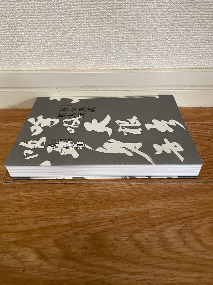 気功革命 秘伝奥義 集大成: 著者自ら出演・解説するⅮVⅮ2枚組付