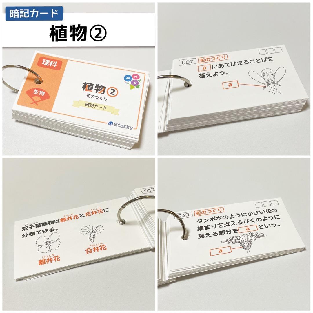 中学受験 国語＆理科 暗記カード【MX028】
