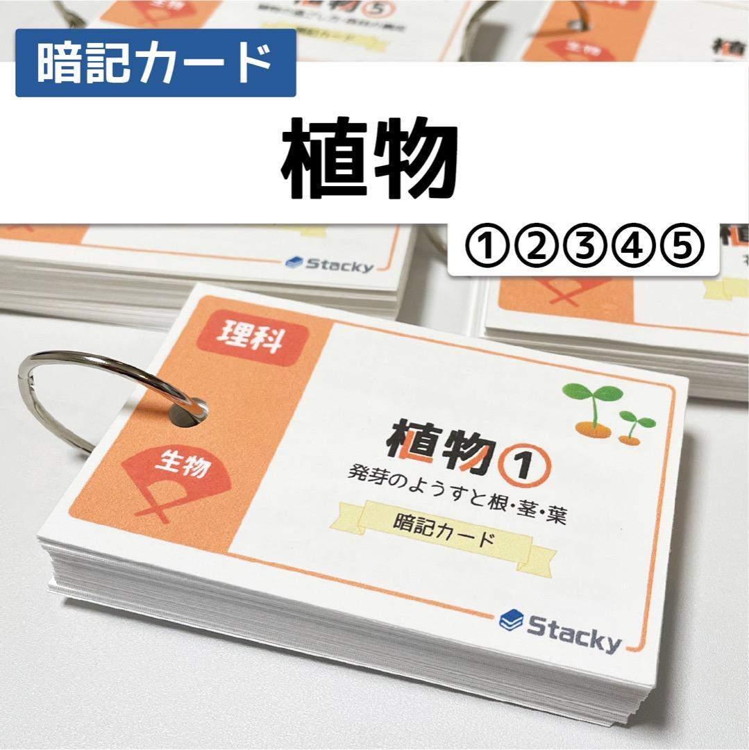 中学受験 国語＆理科 暗記カード【MX028】