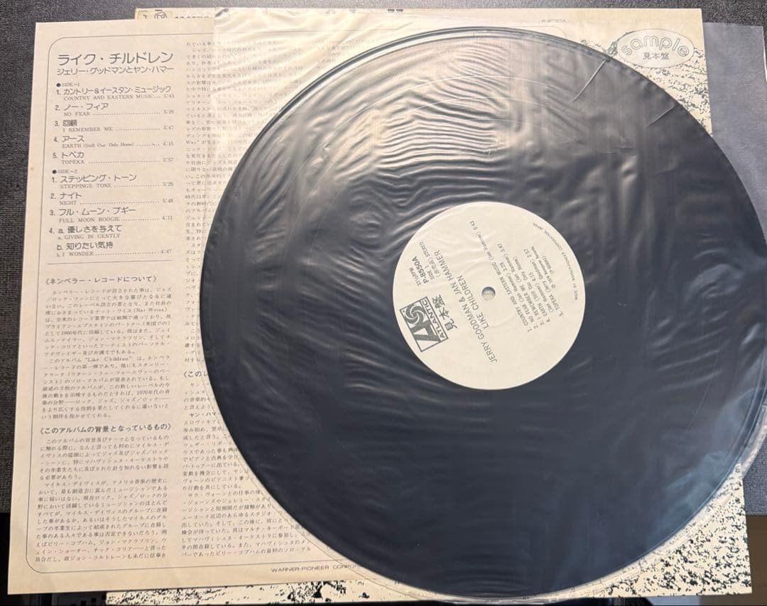 洋楽 JERRY GOODMAN & JAN HAMMER LIKE CHILDREN