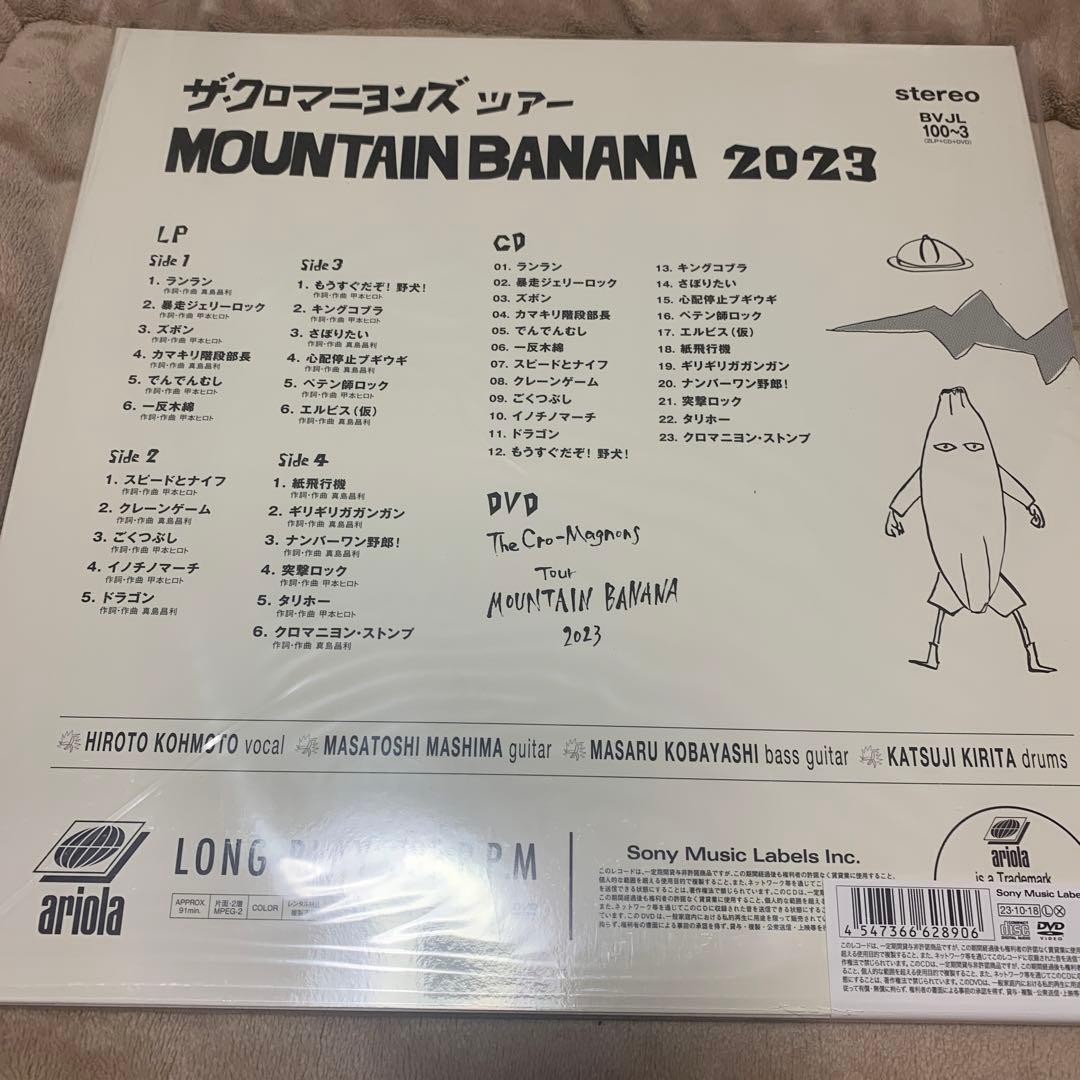 ザ・クロマニヨンズ　LP盤