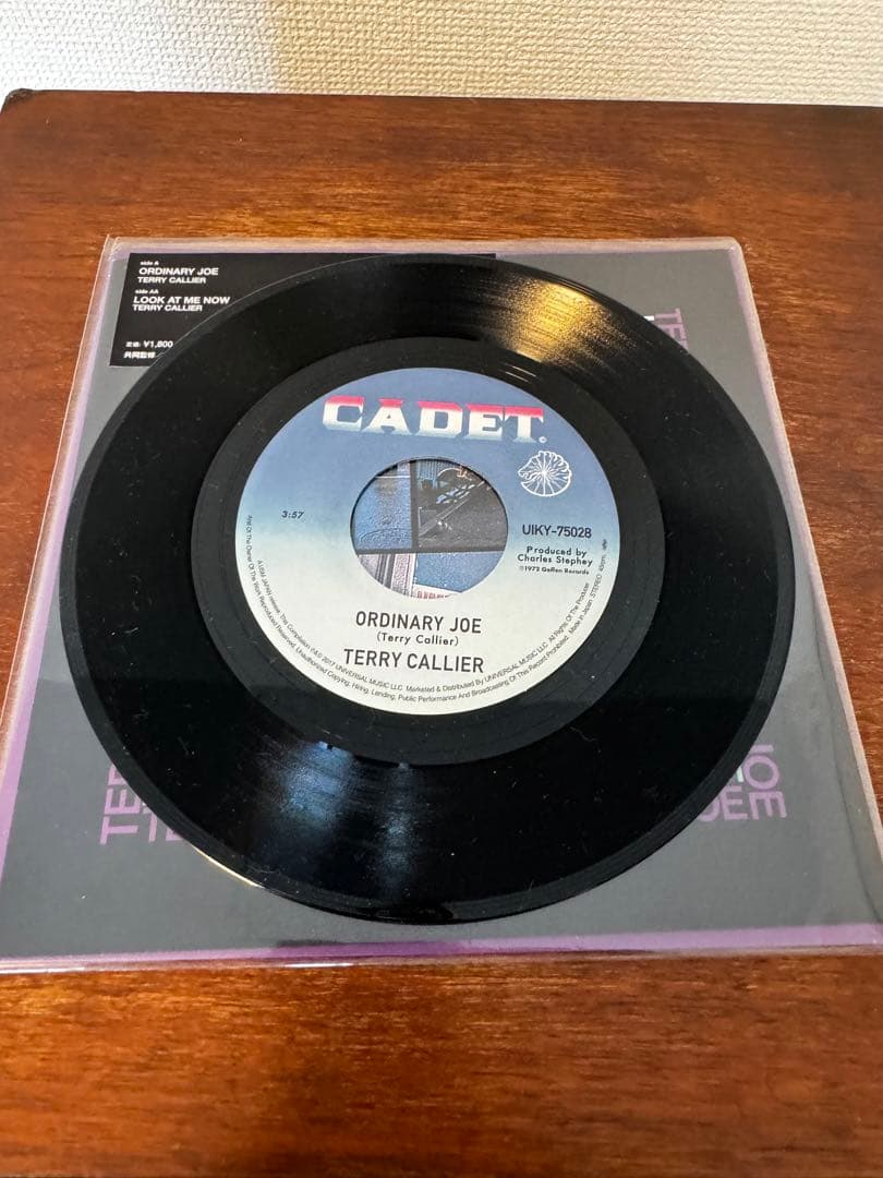 【美品】Terry Callier - Ordinary Joe