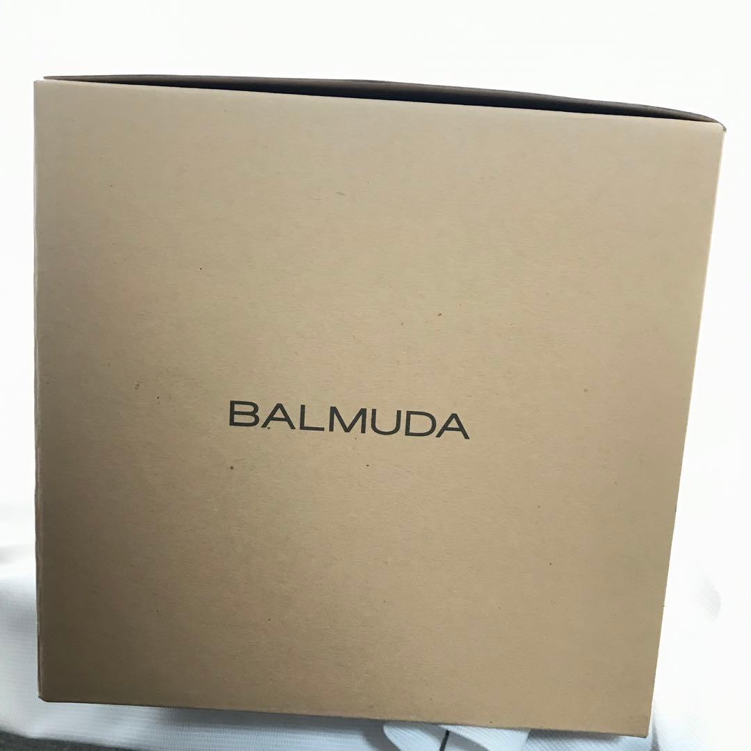 BALMUDA バルミューダ Rain フィルターセット