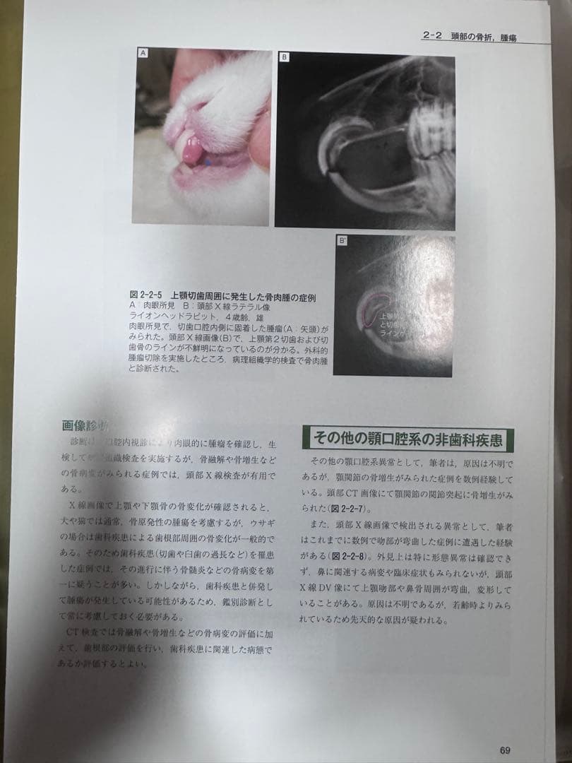 ＊裁断済み　はじめてのウサギの画像診断 ひと目でわかる検査・読影の基本