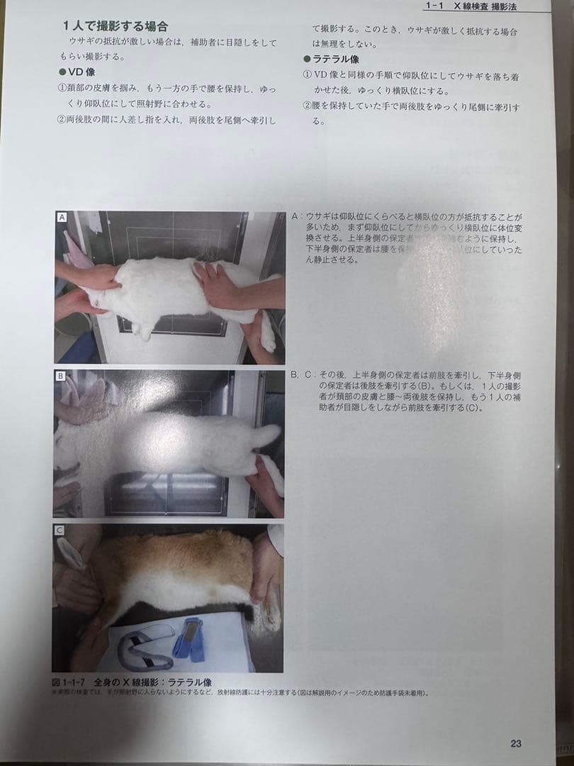 ＊裁断済み　はじめてのウサギの画像診断 ひと目でわかる検査・読影の基本