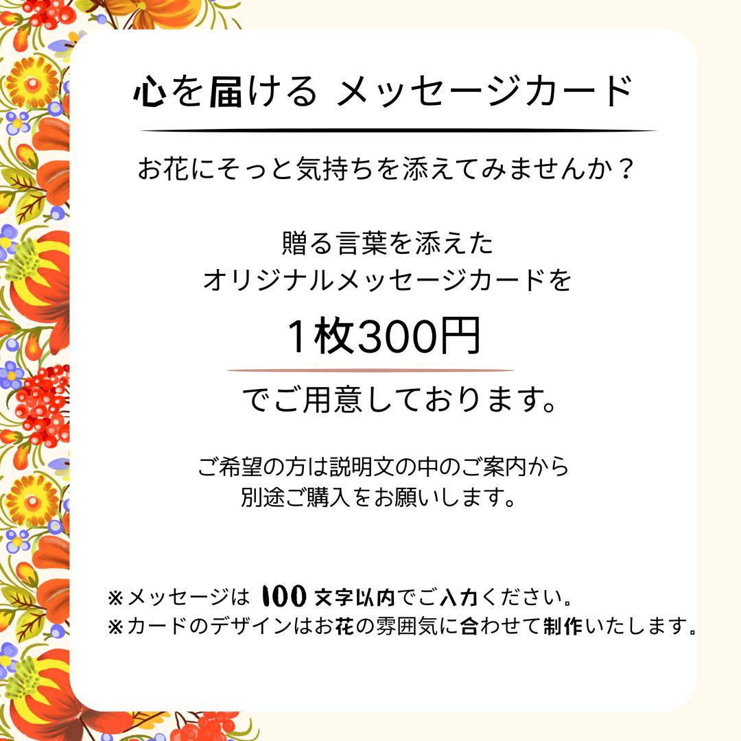 胡蝶蘭とミモザのスワッグ｜光触媒フラワー 特大83cm 春色フラワーリース